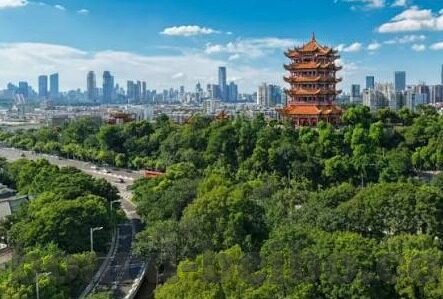 九游app登录不了怎么办-账号登录问题解决方案，九游APP登不上怎么办