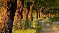 九游app是正规的吗-九游app，正规性与安全性的深度探讨