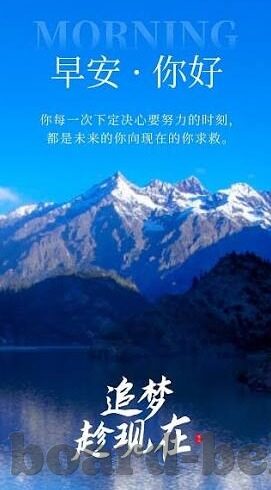 森林舞会试玩-森林舞会试玩，一场自然与娱乐的和谐交融